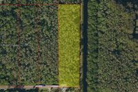 Undeveloped Land for sale in Collier County, Florida