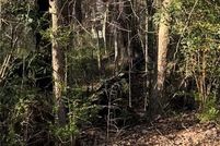 Undeveloped Land for sale in Clayton County, Georgia