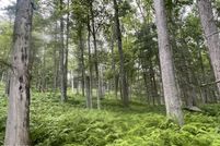 Lakefront Property for sale in Sullivan County, New York