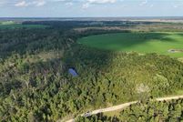 Property for sale in Jeff Davis County, Georgia