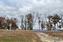 Property for sale in Madison County, Alabama