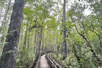 Property for sale in Lee County, Florida