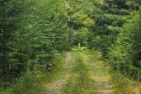 Property for sale in Penobscot County, Maine