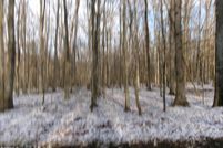 Property for sale in Luzerne County, Pennsylvania