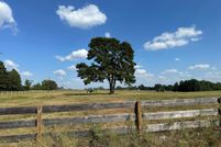 Undeveloped Land for sale in Harrison County, Texas