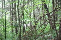 Property for sale in Blount County, Tennessee