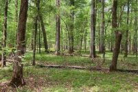 Property for sale in Oglethorpe County, Georgia