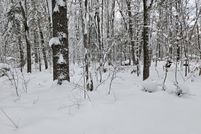 Waterfront Property for sale in Lake County, Michigan