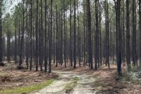 Undeveloped Land for sale in Angelina County, Texas