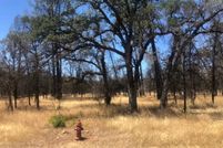 Undeveloped Land for sale in Shasta County, California