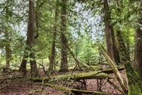 Undeveloped Land for sale in Mackinac County, Michigan