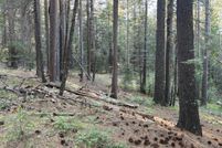 Property for sale in Nevada County, California