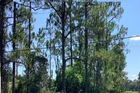 Undeveloped Land for sale in Orange County, Florida