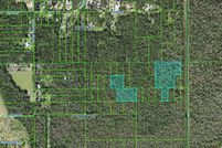 Undeveloped Land for sale in Polk County, Florida