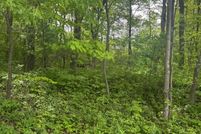 Property for sale in Anoka County, Minnesota