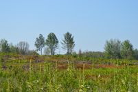 Property for sale in Osceola County, Michigan