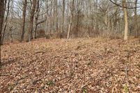 Undeveloped Land for sale in Randolph County, West Virginia