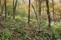 Property for sale in Randolph County, West Virginia