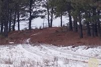 Property for sale in Rosebud County, Montana