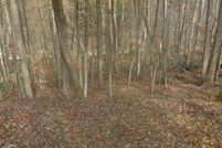 Property for sale in Franklin County, Virginia