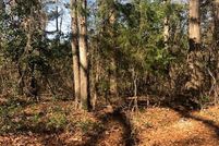 Undeveloped Land for sale in Rusk County, Texas