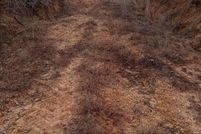 Property for sale in Amite County, Mississippi