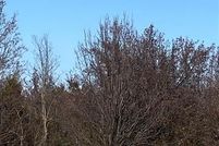 Residential Property for sale in McIntosh County, Oklahoma