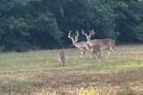 Property for sale in Marion County, Texas