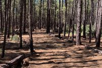 Property for sale in Navajo County, Arizona