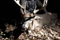 Undeveloped Land for sale in Carroll County, Mississippi