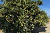 Property for sale in Tulare County, California