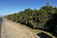 Property for sale in Tulare County, California