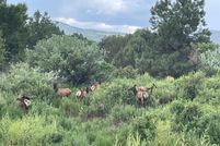 Property for sale in Apache County, Arizona