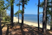 Undeveloped Land for sale in Sabine County, Texas