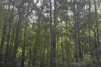 Property for sale in Charleston County, South Carolina