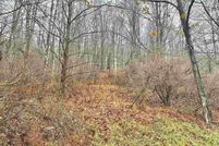 Property for sale in Lewis County, West Virginia