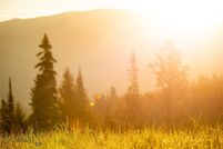 Property for sale in Gallatin County, Montana