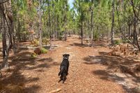 Property for sale in Kershaw County, South Carolina