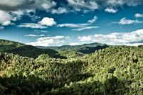 Property for sale in Madison County, North Carolina