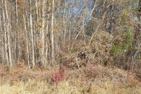 Property for sale in Macon County, Alabama