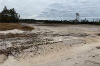 Undeveloped Land for sale in Ware County, Georgia