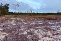 Property for sale in Ware County, Georgia