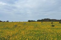 Property for sale in Erath County, Texas