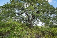 Property for sale in Jack County, Texas