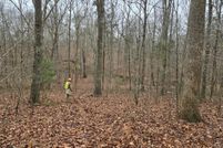 Property for sale in Henry County, Tennessee