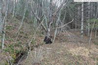 Undeveloped Land for sale in Ashe County, North Carolina