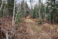 Undeveloped Land for sale in Mackinac County, Michigan