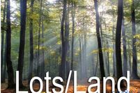 Property for sale in Mecklenburg County, Virginia