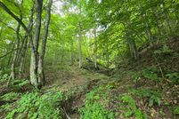 Property for sale in Lee County, Virginia