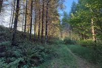 Undeveloped Land for sale in Cowlitz County, Washington